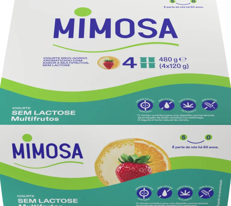 Iogurte sem Lactose Multifrutos Pack 4