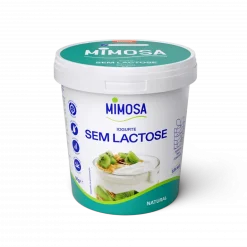 Iogurte sem Lactose Natural