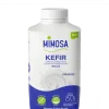 Kéfir Natural