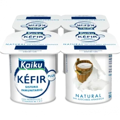 Kéfir Natural Pack 4