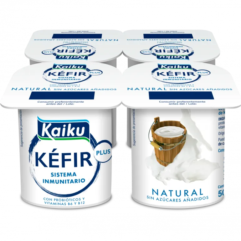 Kéfir Natural Pack 4
