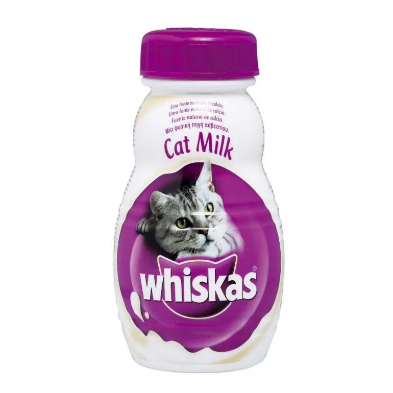 Leite para Gato