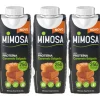 Leite Proteína Caramelo Salgado sem Lactose Pack 3