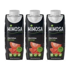 Leite Proteína Morango sem Lactose Pack 3