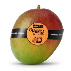 Manga Selecionada