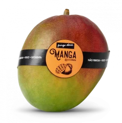 Manga Selecionada