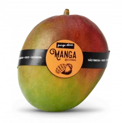 Manga Selecionada