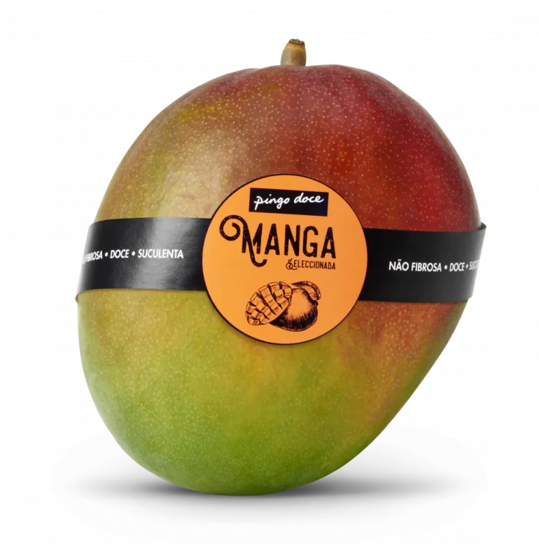 Manga Selecionada