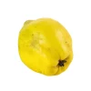 Marmelo