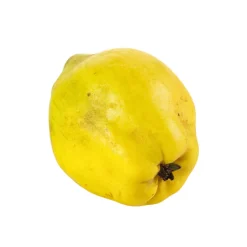 Marmelo