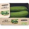 Mini Pepino