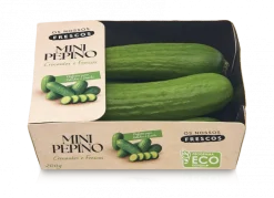 Mini Pepino