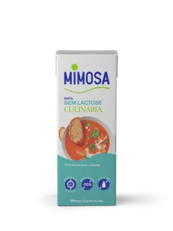 Natas Cremosas Sem Lactose