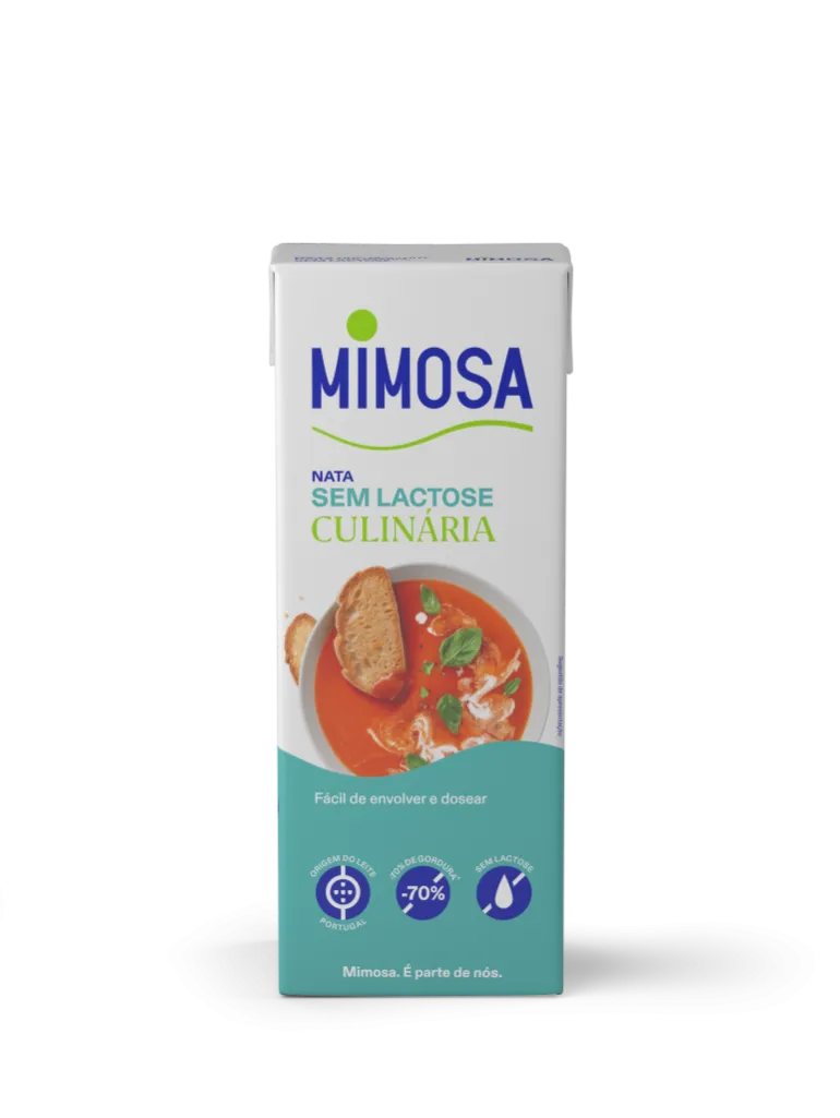 Natas Cremosas Sem Lactose