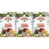 Néctar de Maracujá Pack 3