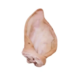 Orelha de Porco