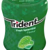 Pastilhas Elásticas Spearmint