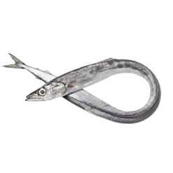 Peixe Espada Branco Fresco