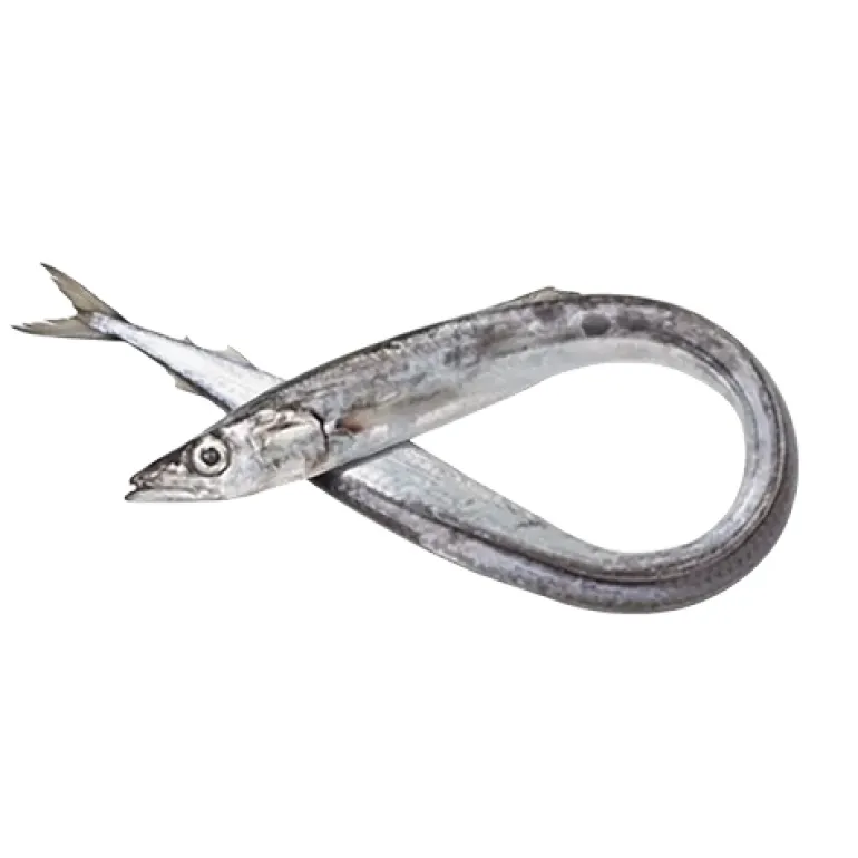 Peixe Espada Branco Fresco