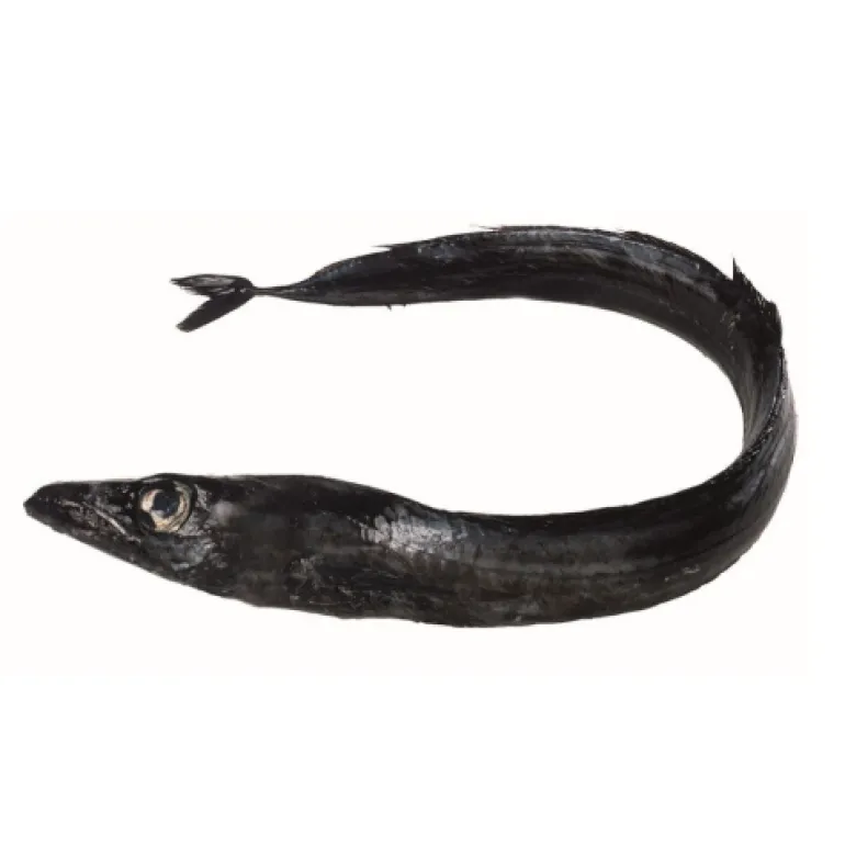 Peixe Espada Preto Fresco