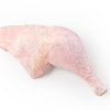 Perna de Peru
