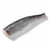Pescada da América do Sul a Granel Congelada