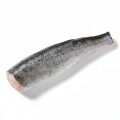 Pescada da América do Sul a Granel Congelada