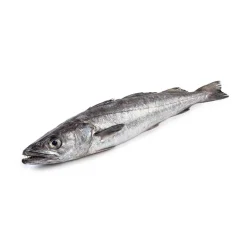 Pescada do Cabo Fresca