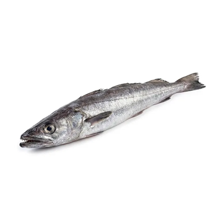 Pescada do Chile Fresca