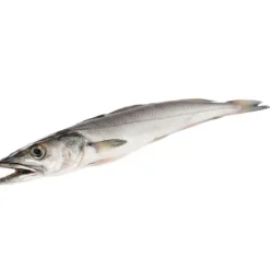 Pescada Fresca