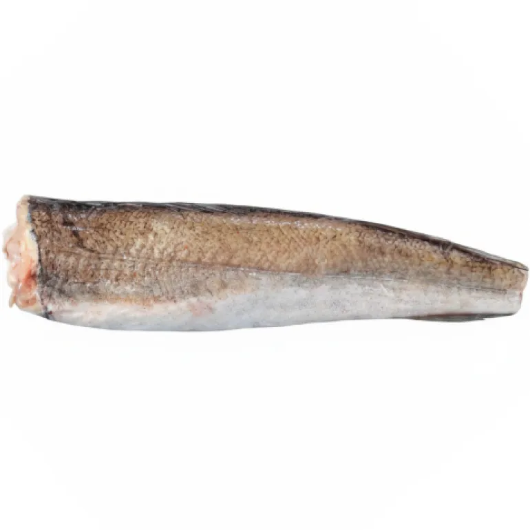Pescada Grande do Chile a Granel Congelada