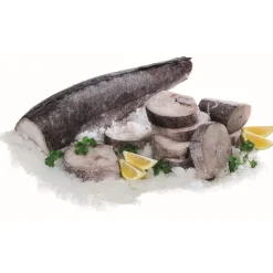 Pescada Média da África do Sul a Granel Congelada