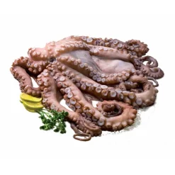 Polvo Fresco