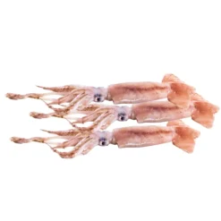 Pota Fresca