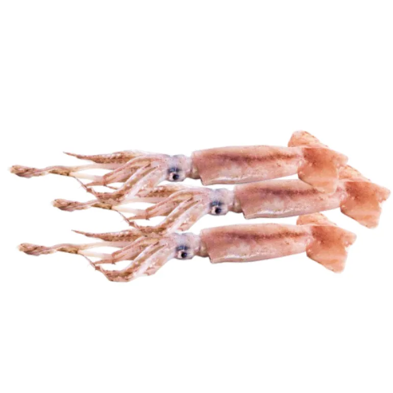 Pota Fresca