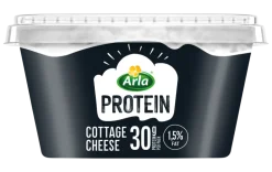 Queijo Cottage Proteína