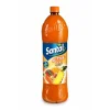 Refrigerante sem Gás Frutos Tropicais e Cenoura