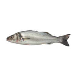 Robalo de Mar Fresco