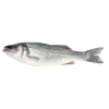 Robalo Fresco da Costa Mediterrânica até 800g
