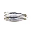 Sardinha Pequena para Fritar Congelada Embalada