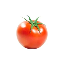 Tomate Redondo 70/95