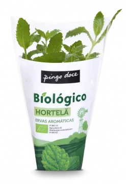 Vaso Hortelã Biológica