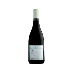 Vinho Tinto da Beira Interior Quinta dos Termos Reserva
